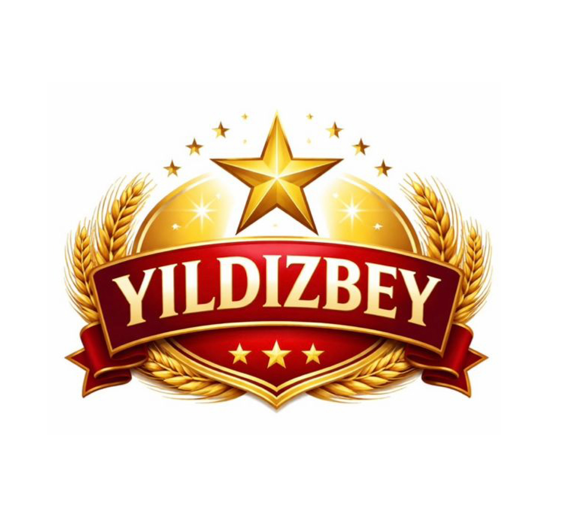 Gemini Yapay Zeka Çıktısı